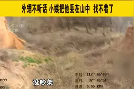 外甥不听话 小姨把他丢在山中  找不着了视频封面