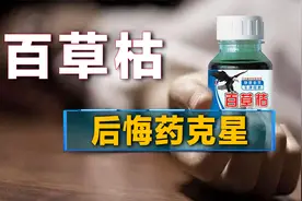 “百草枯”在农村备受欢迎，却被喝到停产，企业到底该不该负责？