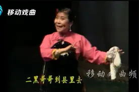 永远的小芹，豫剧表演艺术家柳兰芳老师一路走好视频封面