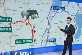 云南 “象”往何处？野象群下午迁徙至晋宁区赖家新村附近视频封面