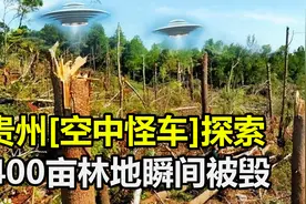 贵州“空中怪车”事件，400亩林地被瞬间毁灭，真相究竟是什么？视频封面