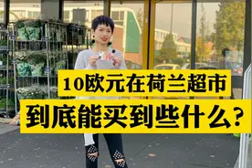10欧元约77元，在荷兰超市能买到些什么呢？辣妈带你们去揭晓答案视频封面