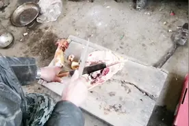 农村金山：宝子爹剁冻鸡肉方法真奇特，菜刀斧头并用干的又快又好视频封面