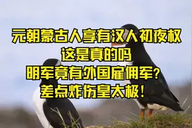 元朝蒙古人享有汉人初夜权这是真的吗明军竟有外国雇佣军？视频封面