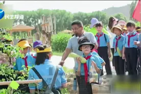 六岁男孩摆地摊，燃爆朋友圈！视频封面