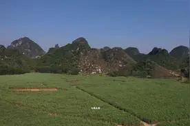 广西山里远近闻名的螃蟹山，只因地理位置太好，都被先人占满视频封面