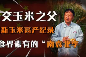 杂交玉米之父，粮食界的“南袁北李”7次刷新我国玉米高产纪录视频封面