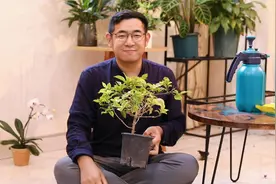 三角梅怎么养？园艺师教你，三角梅的详细养护技巧视频封面