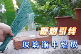 将100根鞭炮引线放入玻璃瓶中，点燃引线后会发生什么？视频封面