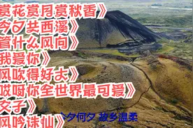 赏花赏月赏秋香。今夕共西溪。管什么风向。我爱你。风吹得好大视频封面