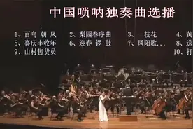 唢呐独奏经典名曲10首连播，音色嘹亮，欢快爽朗，深受大众喜爱视频封面