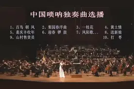 唢呐独奏经典名曲10首连播，音色嘹亮，欢快爽朗，深受大众喜爱视频封面
