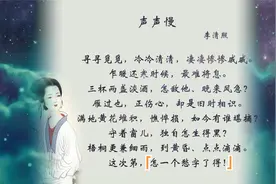 李清照《声声慢·寻寻觅觅》赏析，抒写她对亡夫赵明诚的怀念之情视频封面