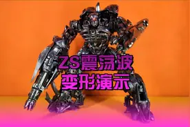 ZS震荡波变形演示视频封面