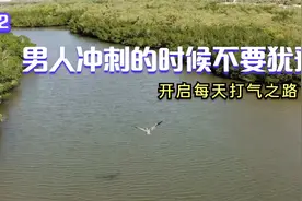 男人冲刺的时候不要犹豫@励志正能量语录 @精选励志语录视频封面