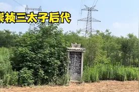河南淇县王洞村王姓是崇祯皇帝的后代，带大家了解"朱改王"的故事视频封面