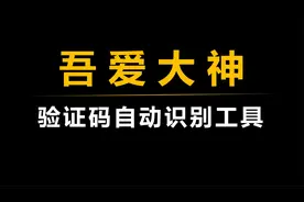 【吾爱出品】网站验证码自动识别工具视频封面