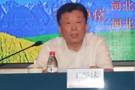 农行河北分行原副行长被双开，多位分行高管被查，共性是违规批贷视频封面