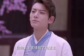 寻秦记：现代男子穿越秦朝，在黑夜使用手电筒抓人，吓坏古人视频封面