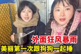 晚上扎营半夜遭遇狂风暴雨，两人一狗挤在车里，车子都快被掀翻了视频封面