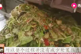 方便自己麻烦了大家?厨余垃圾粉碎机热销,后端处置能否承受压力视频封面
