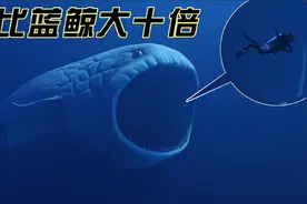 深海未解之谜中的神秘巨兽影像，千米级的大玛雅实在是太震撼了视频封面