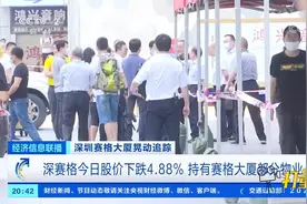 深赛格19日股价下跌4.88％，持有赛格大厦部分物业|经济信息联播视频封面