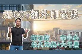 新加坡CBD屈指可数永久地契大平层,高端甲级写字楼:宝瑞大厦视频封面