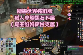 魔兽世界怀旧服猎人单刷黑石塔下层（尾王维姆萨拉克篇）视频封面
