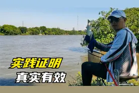 搓饵带散炮野钓真的有那么厉害？实践证明真实有效，结果很快上鱼视频封面