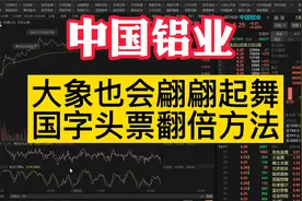 中国铝业：大象也会翩翩起舞，国字头票也有10倍高光时刻视频封面