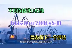 不再依赖进口石油？我国发现10亿吨特大油田，网友称下一个沙特视频封面