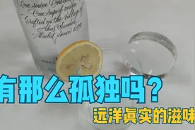 有那么孤独吗？远洋真实的滋味 ~ 船员真实生活实录视频封面