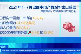 巴西发现2例非典型疯牛病  暂停牛肉产品对华出口视频封面
