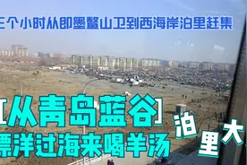 从青岛蓝谷鳌山卫到西海岸泊里赶集，树哥为了喝口羊汤通勤三小时视频封面