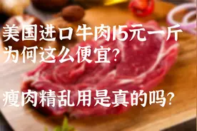 美国进口牛肉15元一斤，为何这么便宜？视频封面