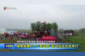 湖南省第42个“爱鸟周”启动仪式举行视频封面