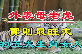 这些生肖的女人，外表似母老虎，实则旺夫，一生富得流油视频封面