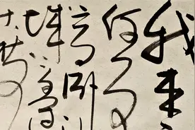 李白名诗《沙丘城下寄杜甫》，六尺对裁，草书书法作品欣赏视频封面