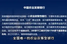 中国农业发展银行校园招聘！下属机构遍布全国，待遇优厚不容错过视频封面