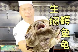 大厨分享一道‘生焖鳄鱼龟’，肉质细腻，皮质柔韧，下饭下酒必备视频封面