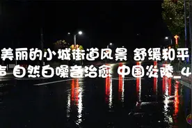 雨夜 美丽的小城街道风景_4【转载】视频封面