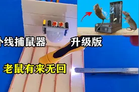 红外线感应捕鼠器全方位升级，效果提升好几倍，让老鼠有来无回视频封面