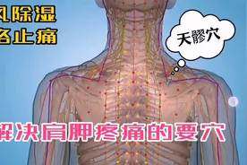 解决肩胛疼痛的要穴！颈项部疼痛？肩周炎？都可以按摩天髎穴！视频封面