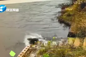 可怕！女子水库边系鞋带被同伴推下水，双双溺水身亡视频封面