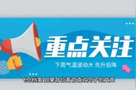 22岁北大女学生自杀背后：男友为情趣喊她“妈妈”，拍裸照视频封面