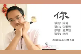 口琴演奏：《你》，屠洪刚经典老歌，电视剧《孝庄秘史》的片头曲视频封面
