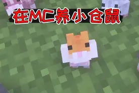 我的世界mod：在mc养小仓鼠，仓鼠跑轮子还能发电！