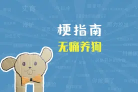 无痛养狗是什么梗【梗指南】视频封面