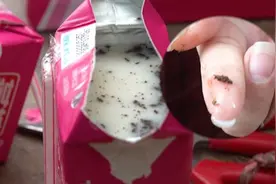 孩子喝燕塘牛奶喝出黑色不明物质，超市老板现场开瓶无一幸免视频封面